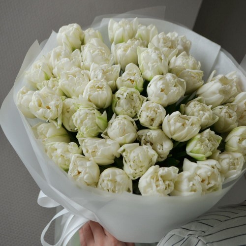 Bouquet of 51 white peony tulips