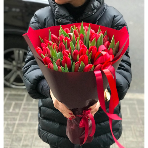 51 красный тюльпан