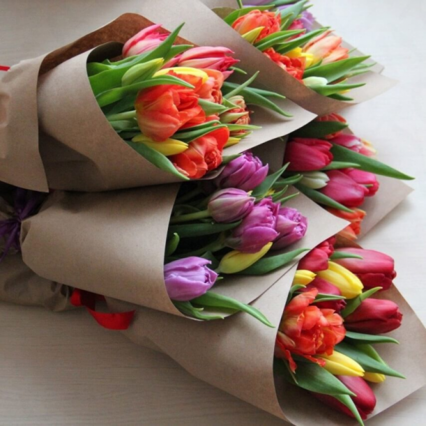 Как голландские тюльпаны попадают в Минск и становятся символом весны