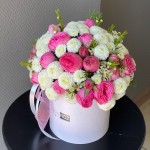 Композиция «Фрэш»