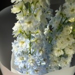 Авторский букет №14