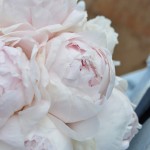 Свадебный букет из пионов