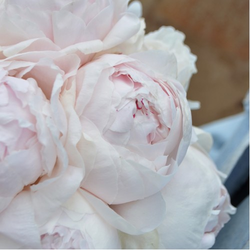 Свадебный букет из пионов