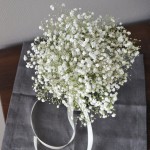 Gypsophila wedding bouquet