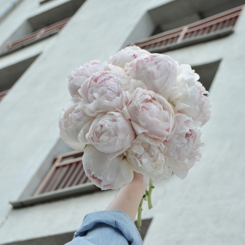 Свадебный букет из пионов