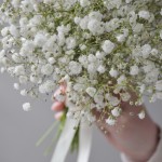 Gypsophila wedding bouquet