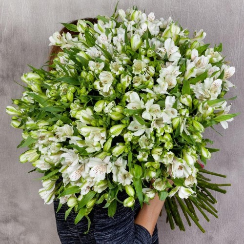 101 ветка альстромерий белых