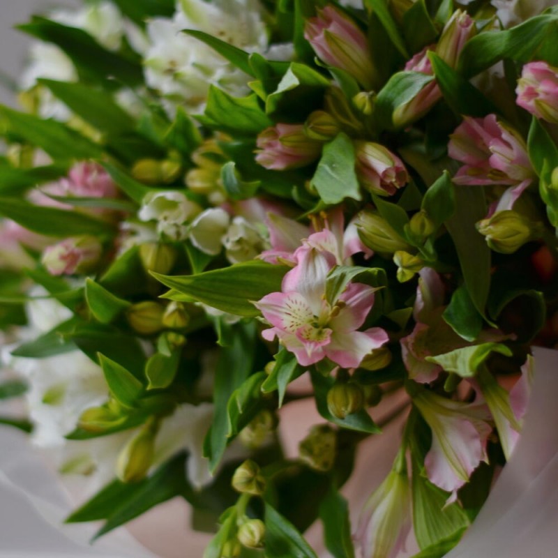 Букет из 15 альстромерий (WHITE & PINK)