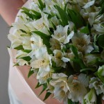 Букет из 31 альстромерии (WHITE)