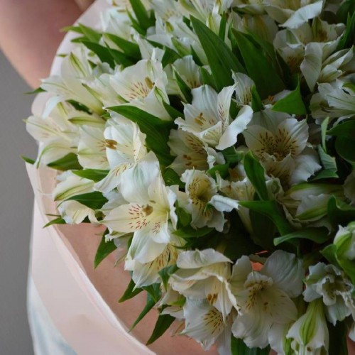 Букет из 31 альстромерии