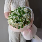 Букет из 31 альстромерии (WHITE)