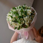 Букет из 31 альстромерии (WHITE)
