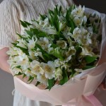 Букет из 31 альстромерии (WHITE)