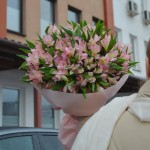 Bouquet of 31 alstroemerias (PINK)