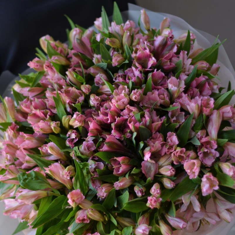 Букет из 51 альстромерии (PINK)