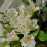 Крупный план белой альстромерии в букете из 9 цветков