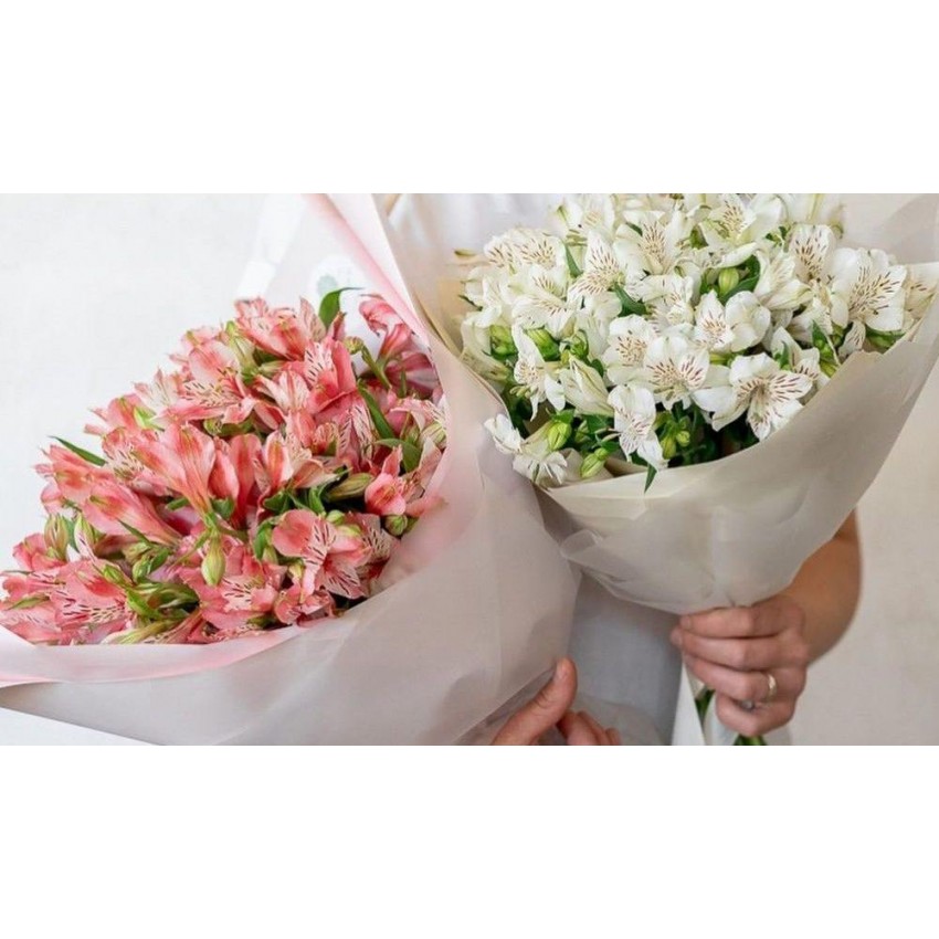 Альстромерия 