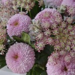 Букет «Момоко»