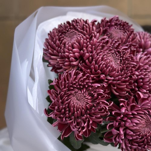 Букет «Бигуди Пурпл» M