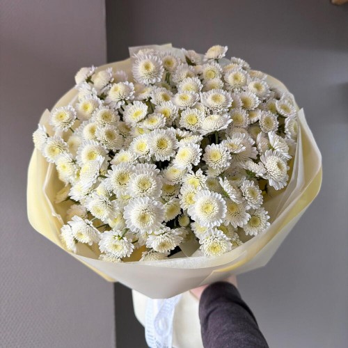 Bouquet "Stalion"
