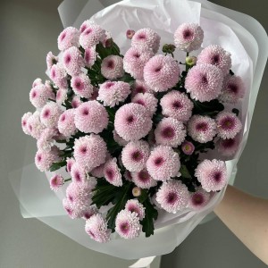 Букет «Пинки»