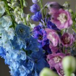 Монобукет «Дельфиниум»