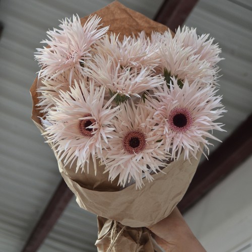 Монобукет «Гербера» M