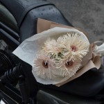 Монобукет «Гербера» S