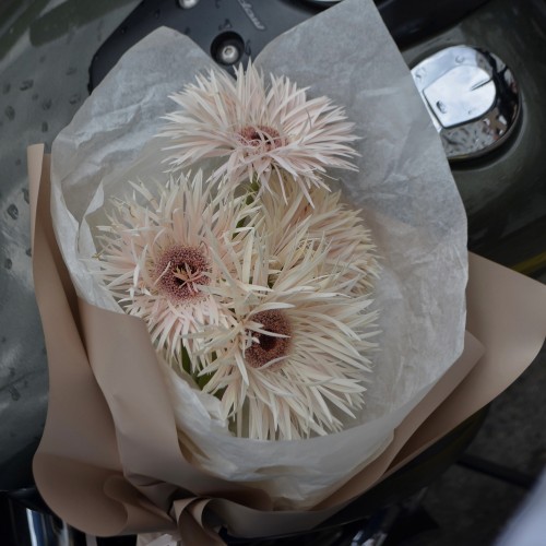 Монобукет «Гербера» S