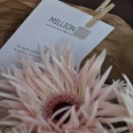 Монобукет «Гербера» M