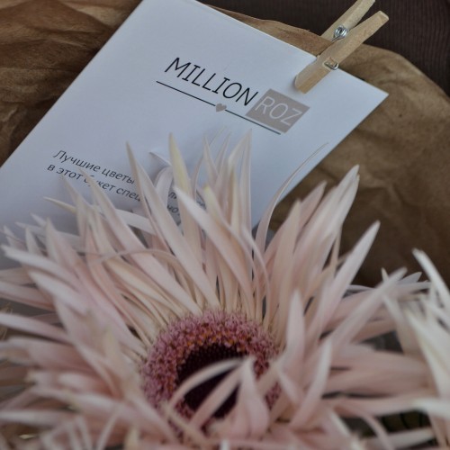 Монобукет «Гербера» M