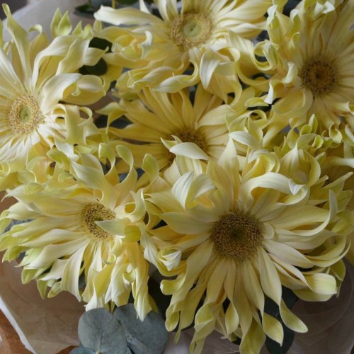 Букет «Паста»