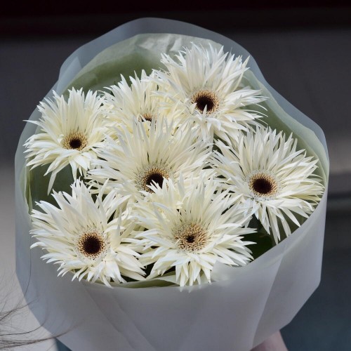 Монобукет из игольчатых гербер