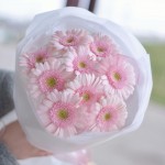 Монобукет из розовых гербер