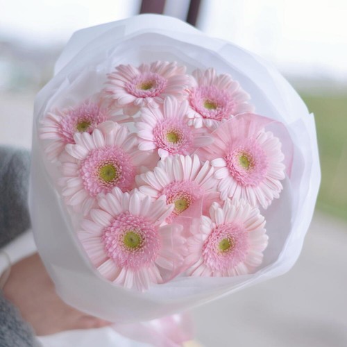 Монобукет из розовых гербер