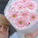 Монобукет из розовых гербер — общий вид