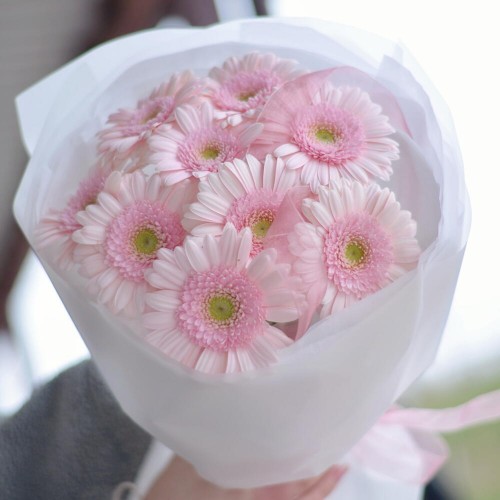 Монобукет из розовых гербер