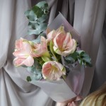 Монобукет из гиппеаструма