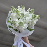 Монобукет из маттиолы белой