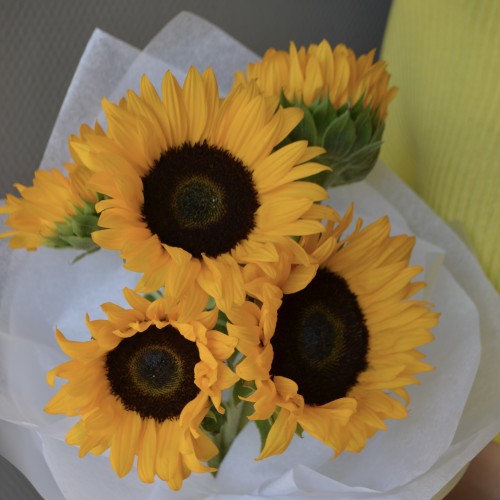Букет из 5 подсолнухов