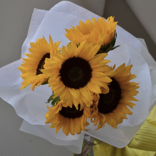 Букет из 5 подсолнухов