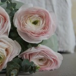 Monobouquet "Ranunculus" S