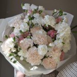 Bouquet of 51 dianthus mix