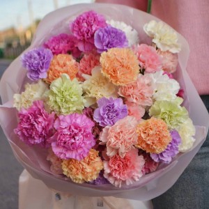 Букет из 35 диантусов микс