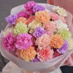 Bouquet of 35 dianthus mix