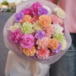 Bouquet of 35 dianthus mix