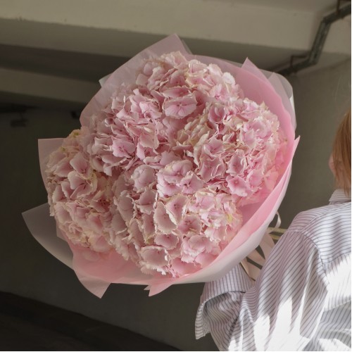 Букет из 5 розовых гортензий
