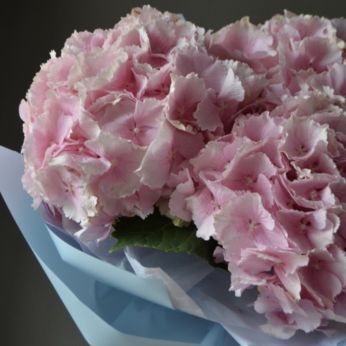 Букет «Вельвет»