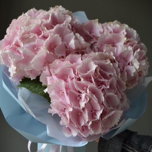 Букет «Вельвет»