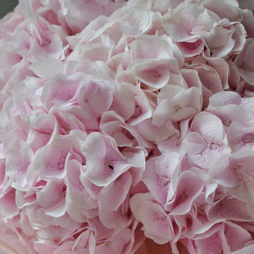 Букет «Розовые облака»